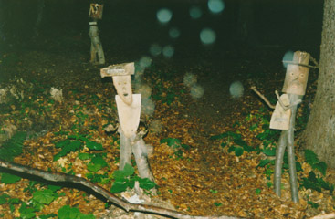 eika image